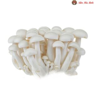 Nấm Sò Trắng Tươi 500g