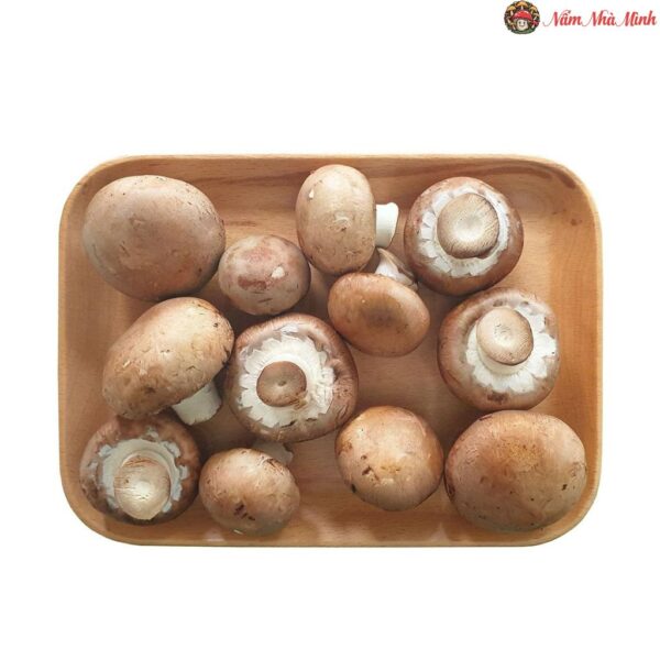 Nấm Mỡ Nâu Tươi 200g 1