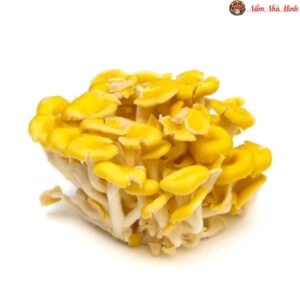 Nấm Hoàng Kim Tươi 200g